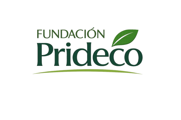 logo prideco