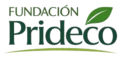logo prideco